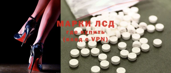 хмурый Абаза