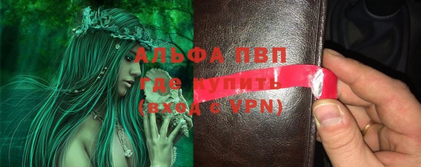 хмурый Абаза
