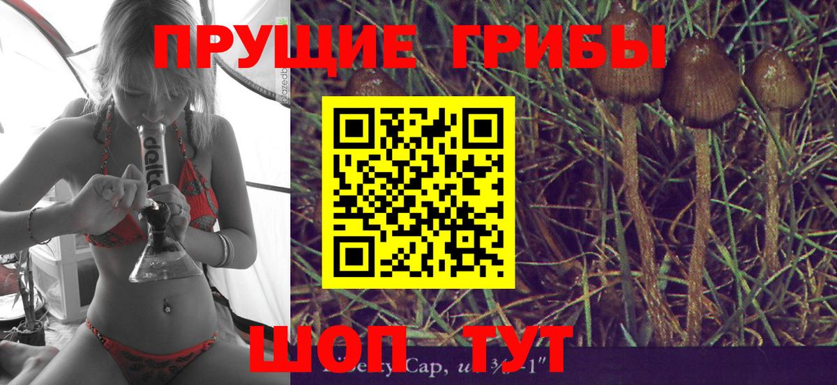 Родники  Псилоцибиновые грибы прущие грибы  Вход с VPN  Галлюциногенные грибы Psilocybine cubensis 
